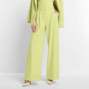 Express wide leg pleated pants size 10